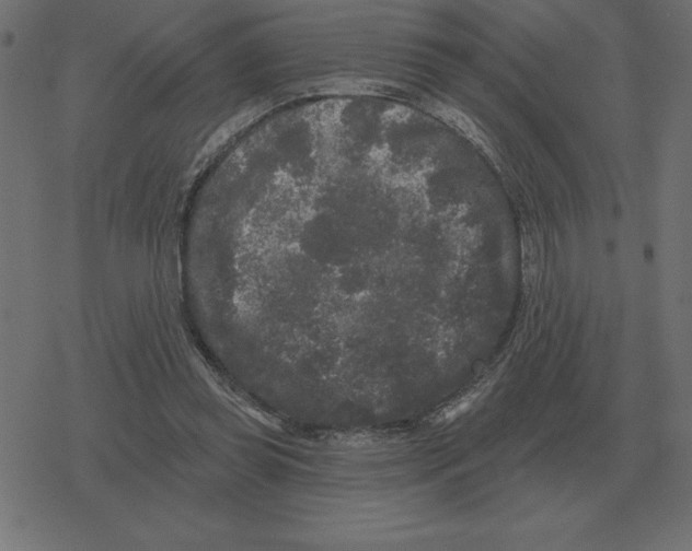 X0000078290349200612011815