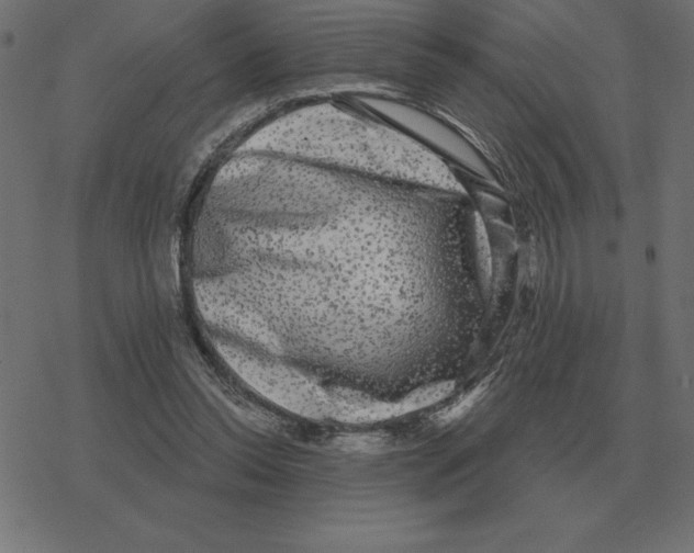 X0000078290350200612011815