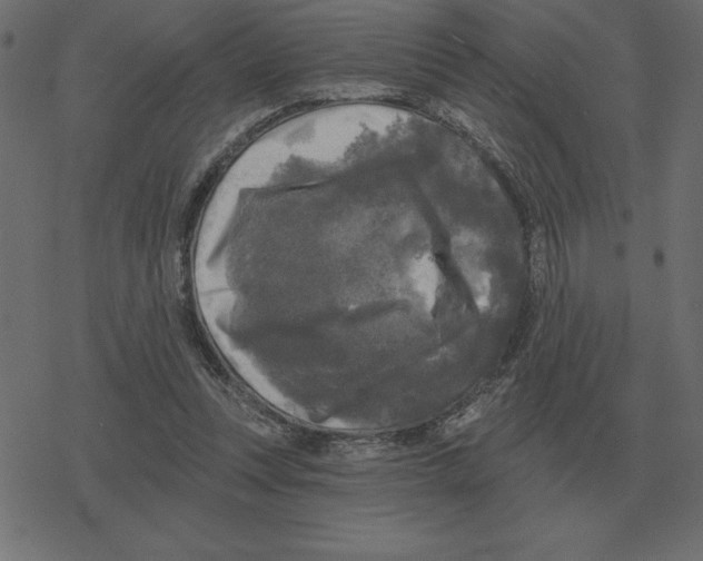 X0000078290351200612011815