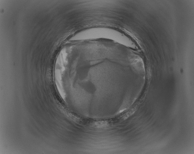 X0000078290353200612011815