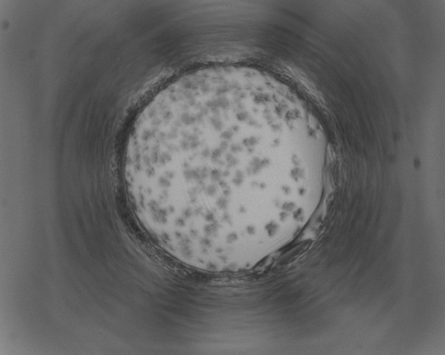 X0000078290354200612011815