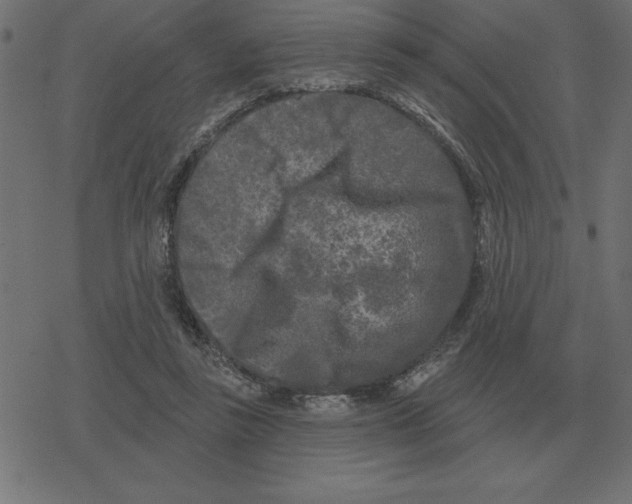 X0000078290355200612011815