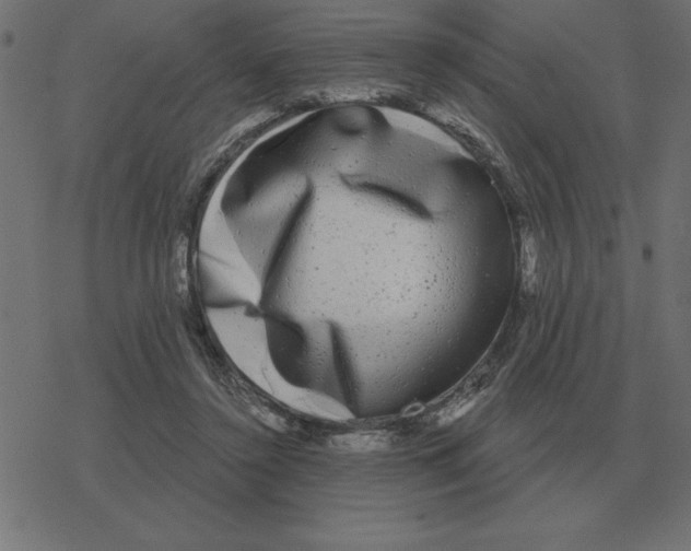 X0000078290356200612011815