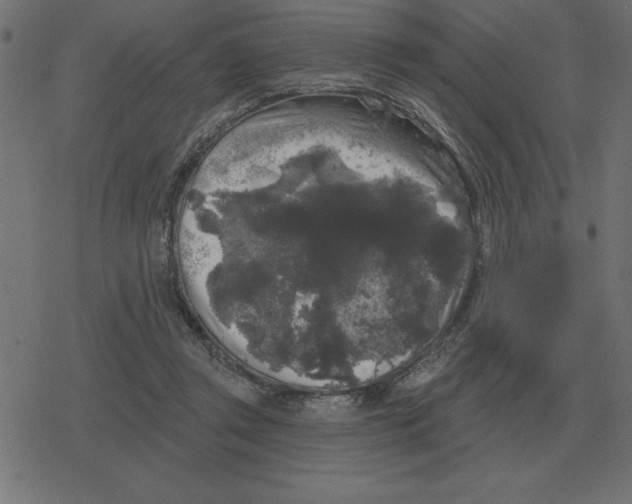 X0000078290357200612011815