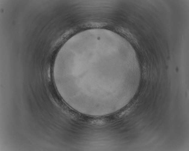 X0000078290358200612011815