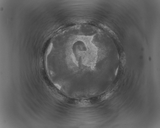 X0000078290359200612011815