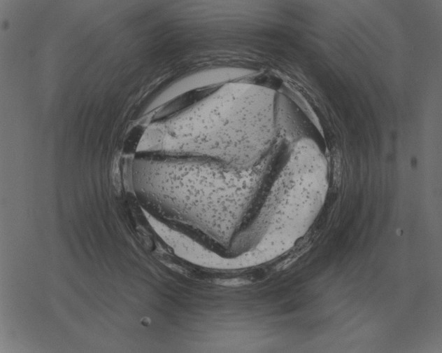 X0000078290360200612011815