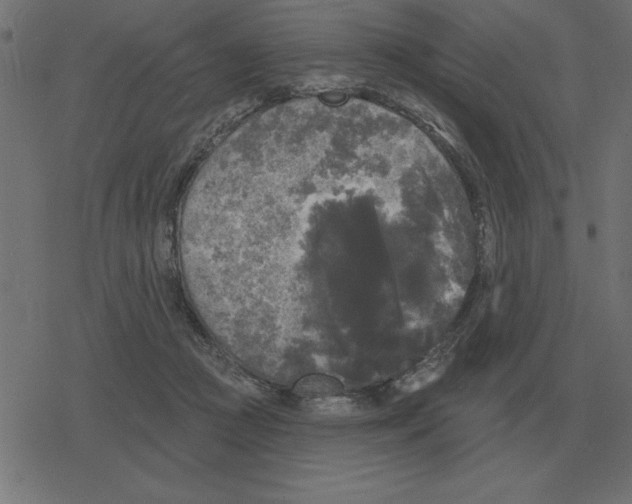 X0000078290361200612011815