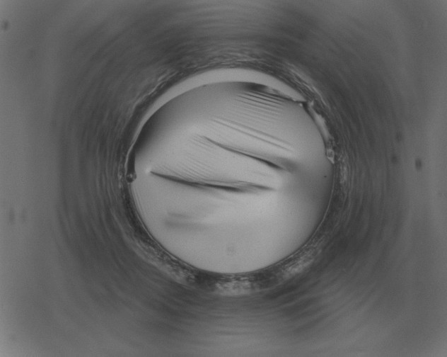 X0000078290362200612011815