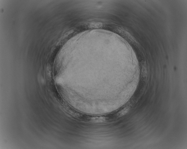 X0000078290363200612011815