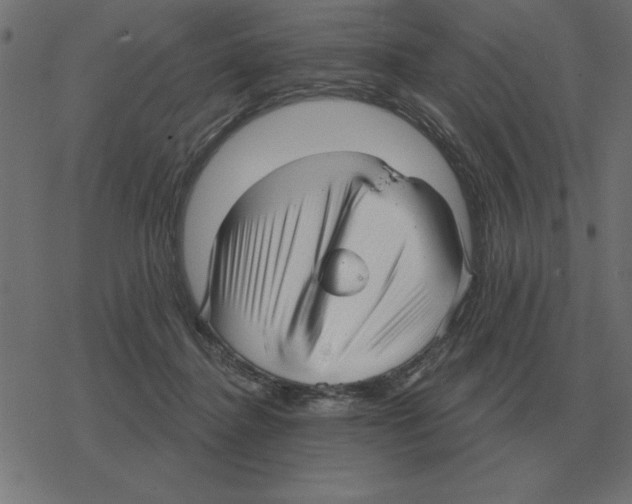 X0000078290364200612011815