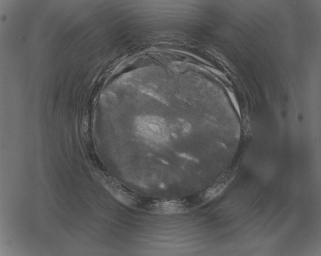 X0000078290365200612011815