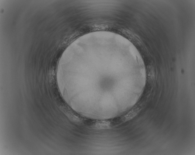 X0000078290369200612011815