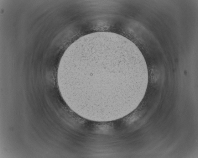 X0000078290370200612011815