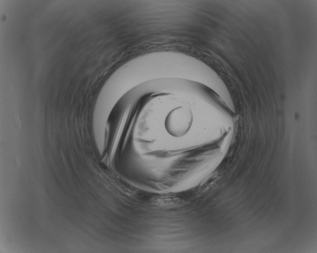 X0000078290372200612011815