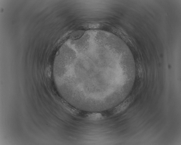 X0000078290374200612011815