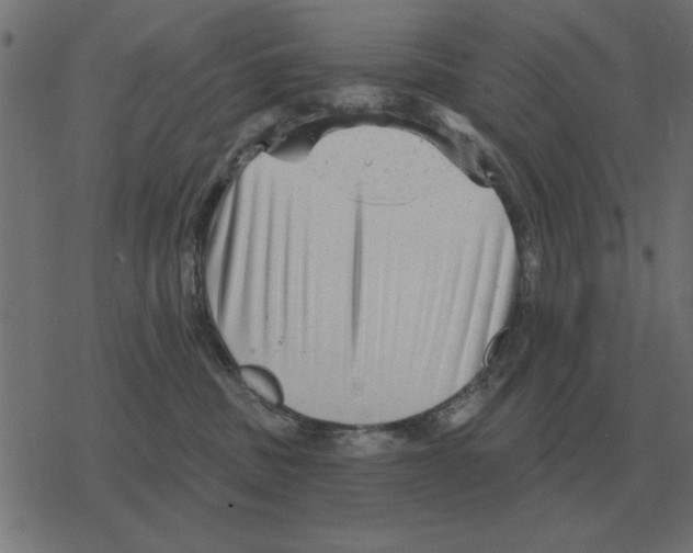 X0000078290379200612011815