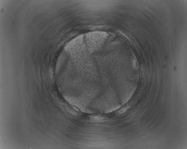 X0000078290380200612011815