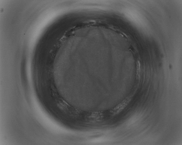 X0000078290383200612011815