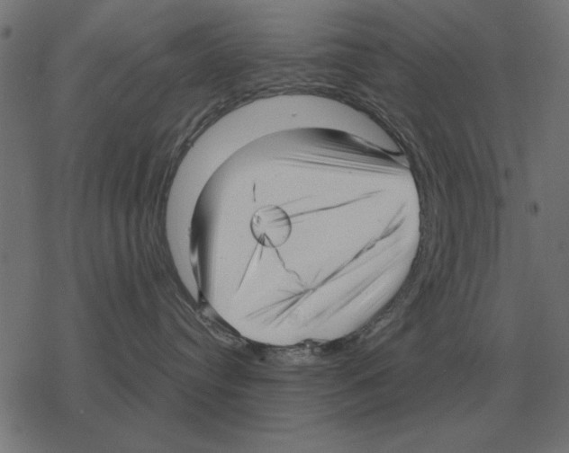 X0000078290384200612011815