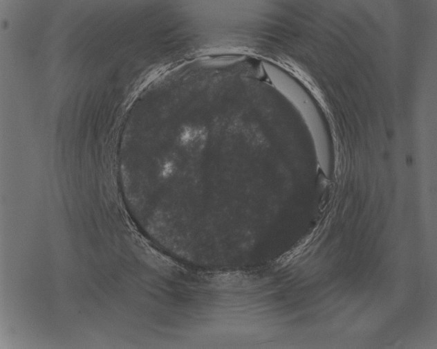 X0000078290385200612011814