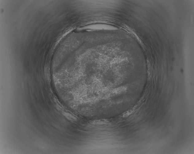 X0000078290386200612011814