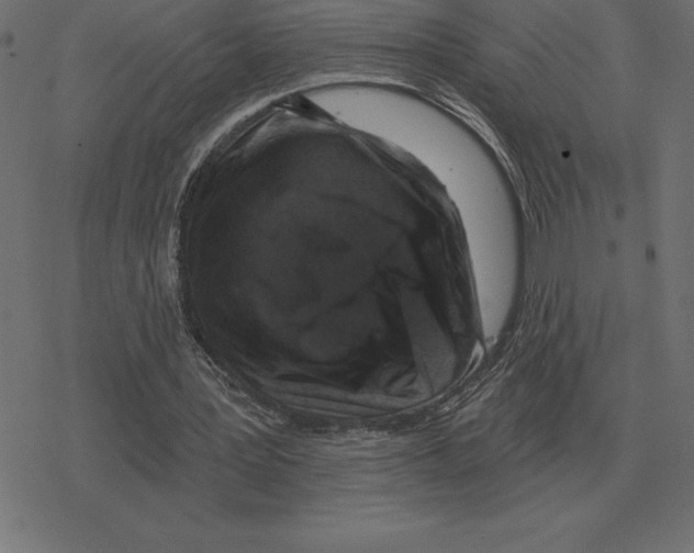 X0000078290387200612011814