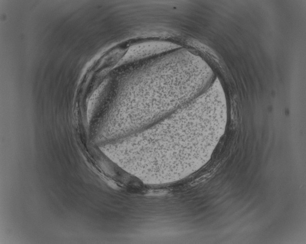 X0000078290388200612011814