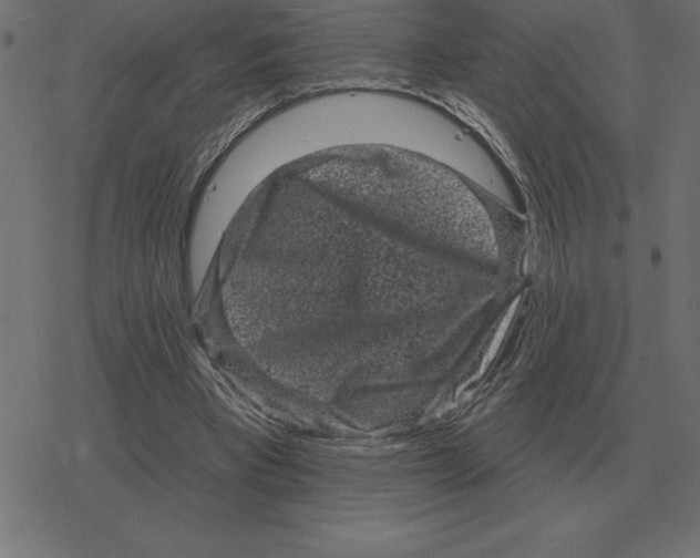 X0000078290393200612011814