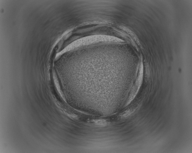 X0000078290395200612011814