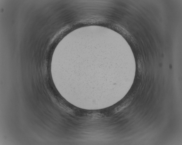 X0000078290396200612011814