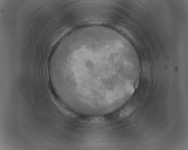 X0000078290398200612011814