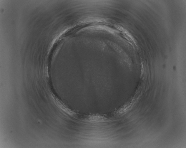 X0000078290399200612011814