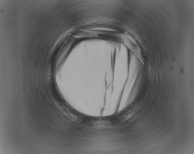 X0000078290400200612011814