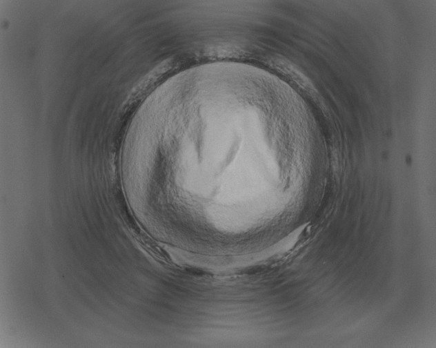 X0000078290401200612011814