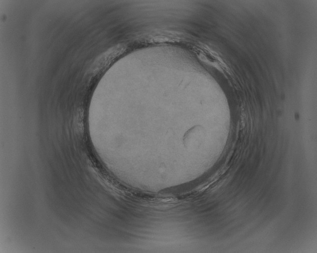 X0000078290402200612011814