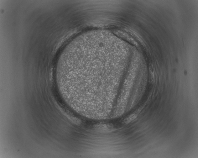 X0000078290404200612011814