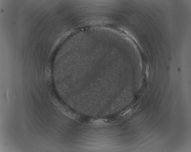 X0000078290407200612011814