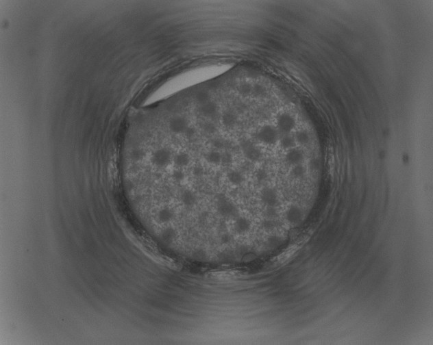 X0000078290408200612011814