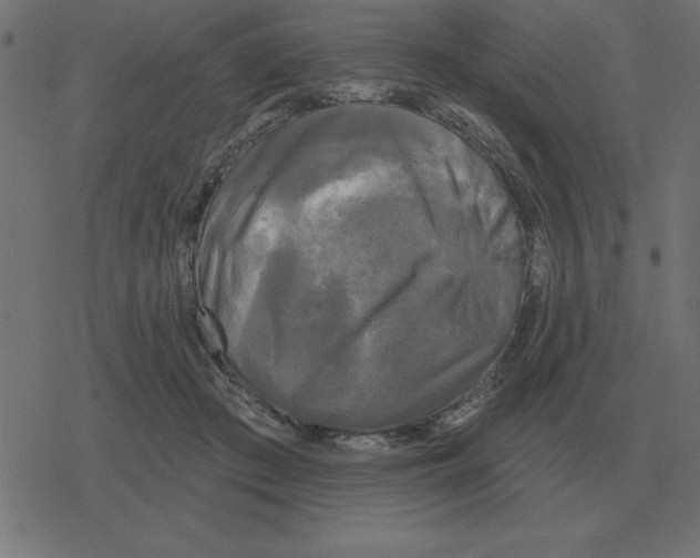 X0000078290409200612011814