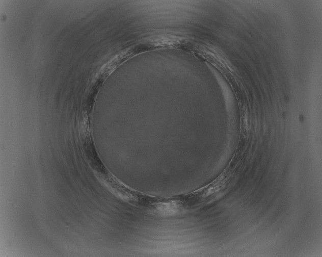 X0000078290411200612011814