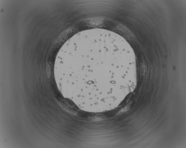 X0000078290412200612011814