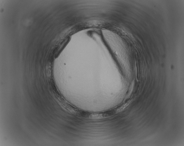 X0000078290413200612011814