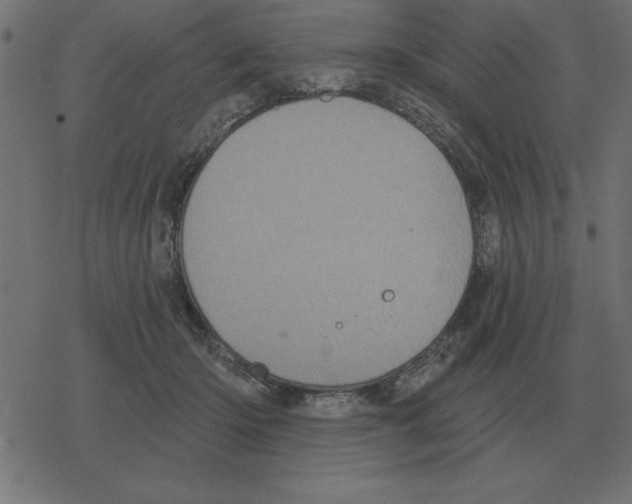 X0000078290414200612011814