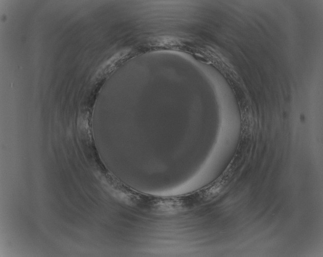 X0000078290415200612011814