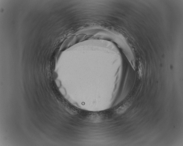 X0000078290416200612011814