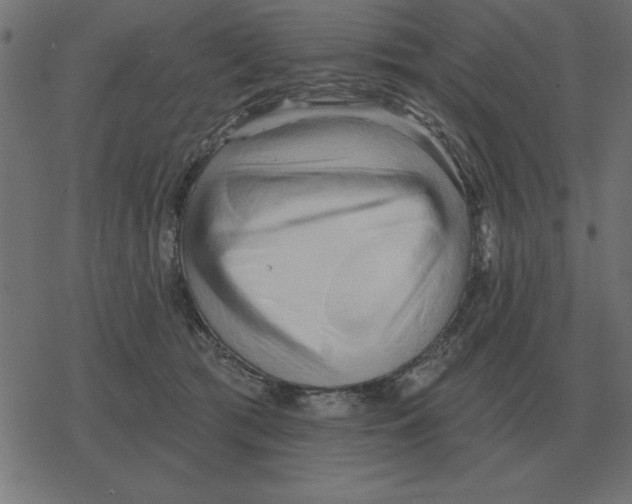 X0000078290417200612011814