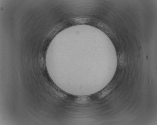 X0000078290418200612011814