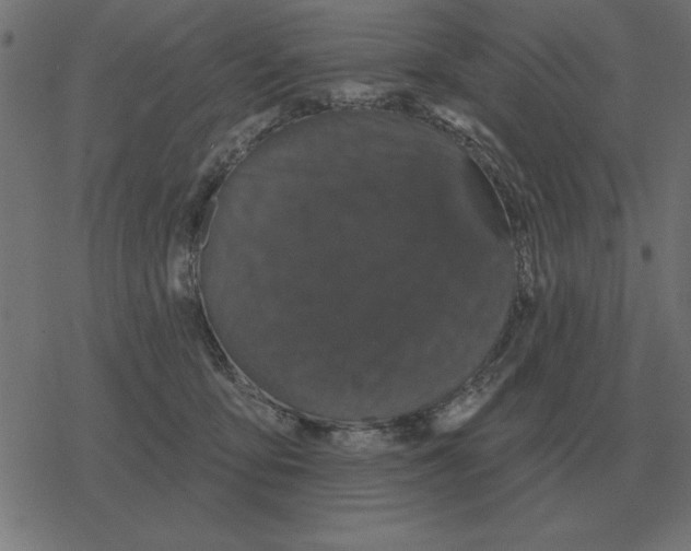 X0000078290419200612011814