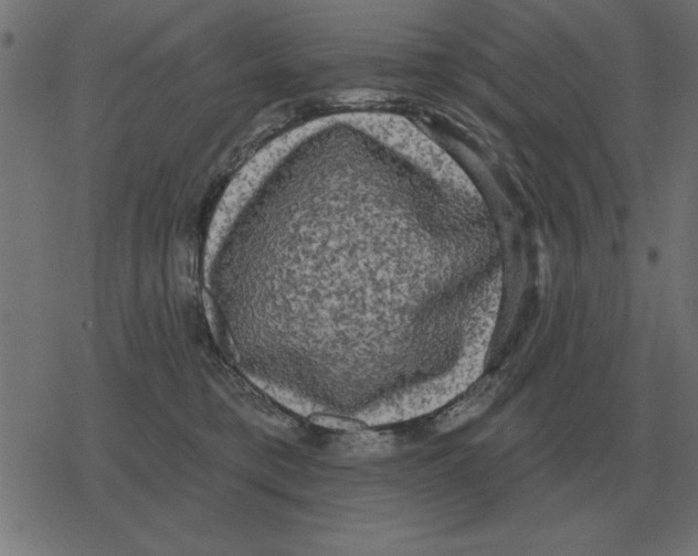 X0000078290421200612011814